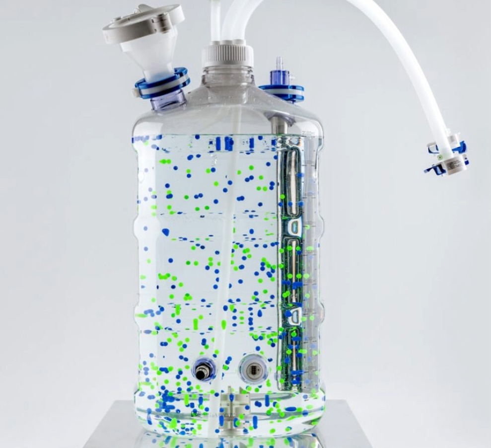 Inforlogic Project Success Sanisure